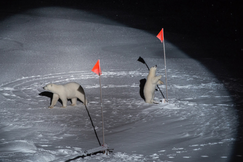 004_Esther-Horvath_for-The-New-York-Times-800x534