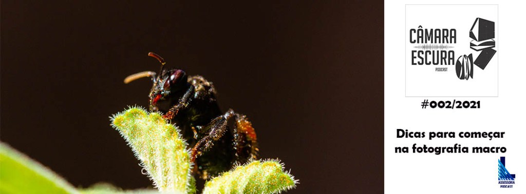 Podcast – Dicas para começar na fotografia&nbsp;macro