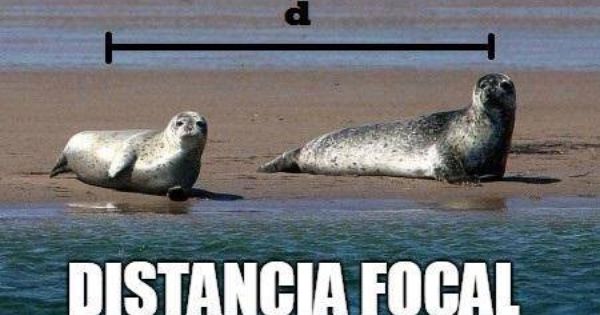 Entendendo a Distância Focal em suas&nbsp;Lentes