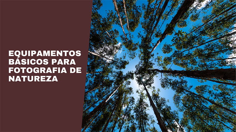 Equipamentos que uso para Fotografia de Natureza