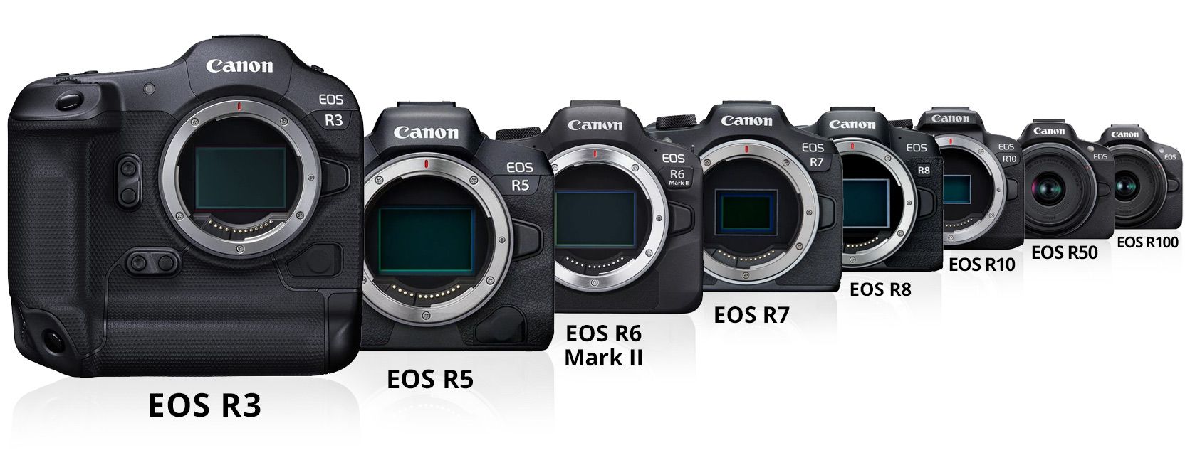 A Magia das Câmeras Fotográficas