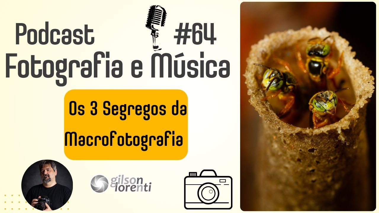 Os 3 segredos da Macro Fotografia – PODCAST